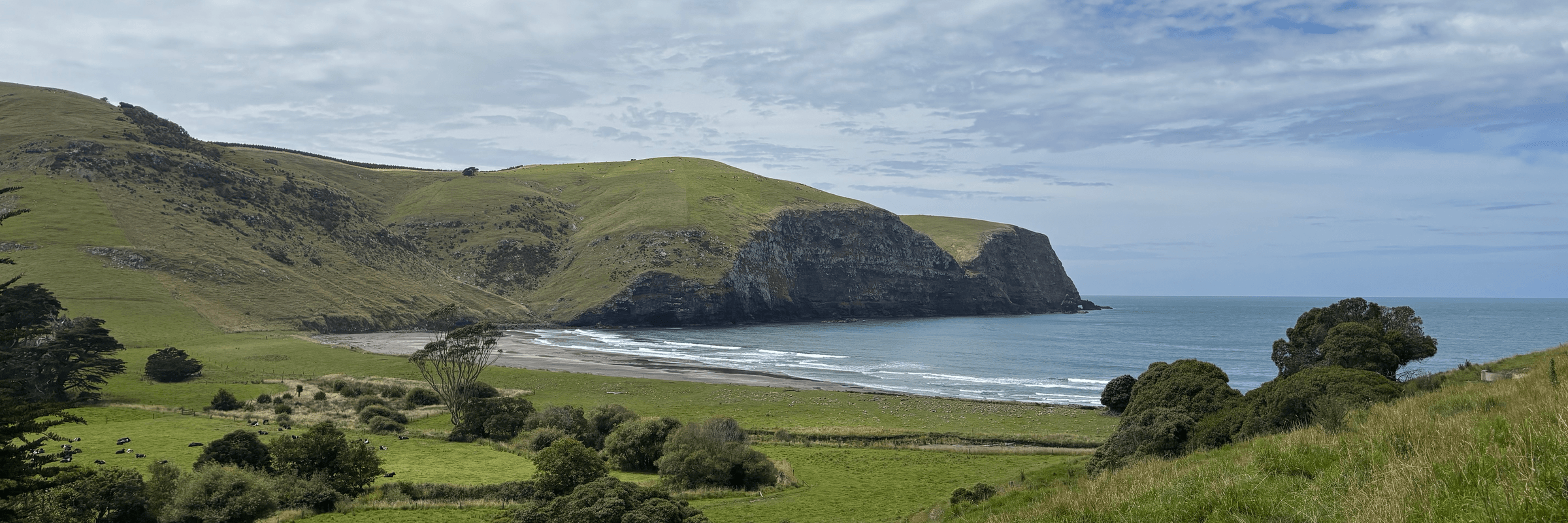 A surfer drawing a line across an Akaroa wave